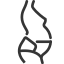 Centuri Abdominale